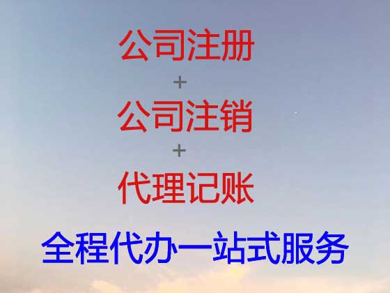 嘉善公司个体工商户注册-公司变更